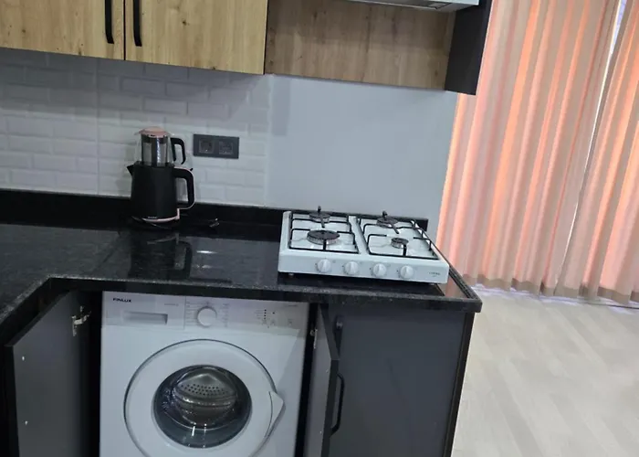 公寓 Centre Pool 锡德